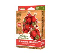 всывс
